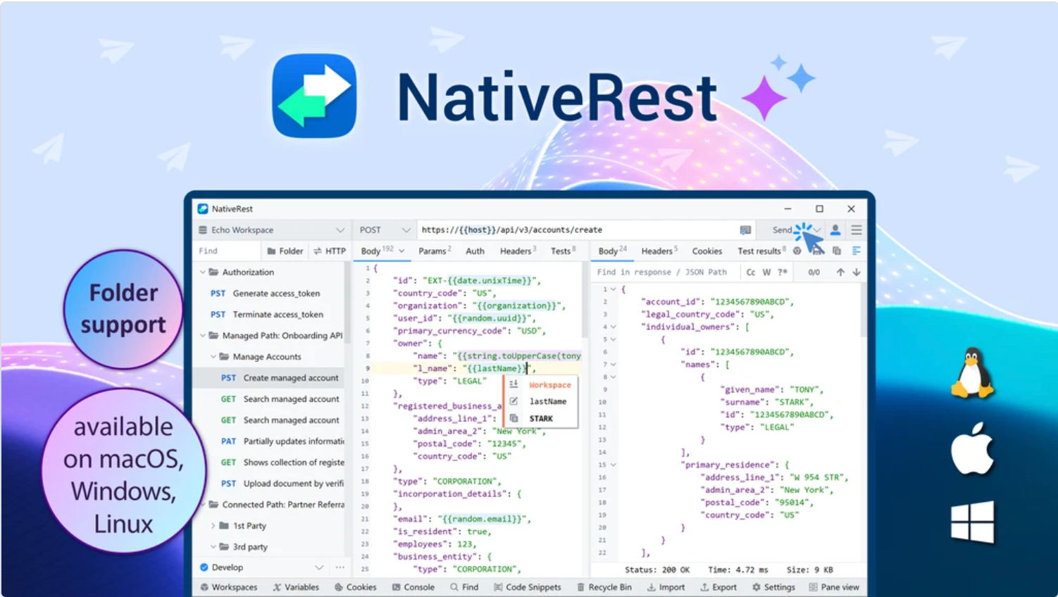NativeRest AppSumo Deal 2026: Fast, Secure, and Lightweight API Client ...